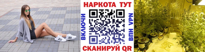 Купить наркотики Курильск Псилоцибиновые грибы  СК  ОМГ ОМГ зеркало  Канабис  Мефедрон 