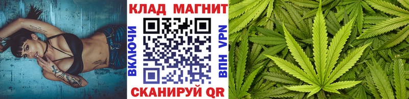 Бошки Шишки Курильск