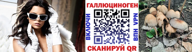 Галлюциногенные грибы мицелий  цены наркотик  Курильск 